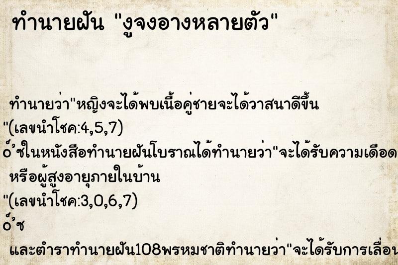 ทำนายฝันงูจงอางหลายตัว ทำนายฝันทำนายฝันงูจงอางหลายตัว