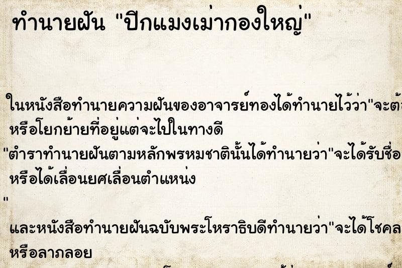ทำนายฝัน ปีกแมงเม่ากองใหญ่ ทำนายฝัน ปีกแมงเม่ากองใหญ่