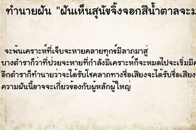 ทำนายฝันฝันเห็นสุนัขจิ้งจอกสีน้ำตาลจะมากัด ทำนายฝันทำนายฝันฝันเห็นสุนัขจิ้งจอกสีน้ำตาลจะมากัด