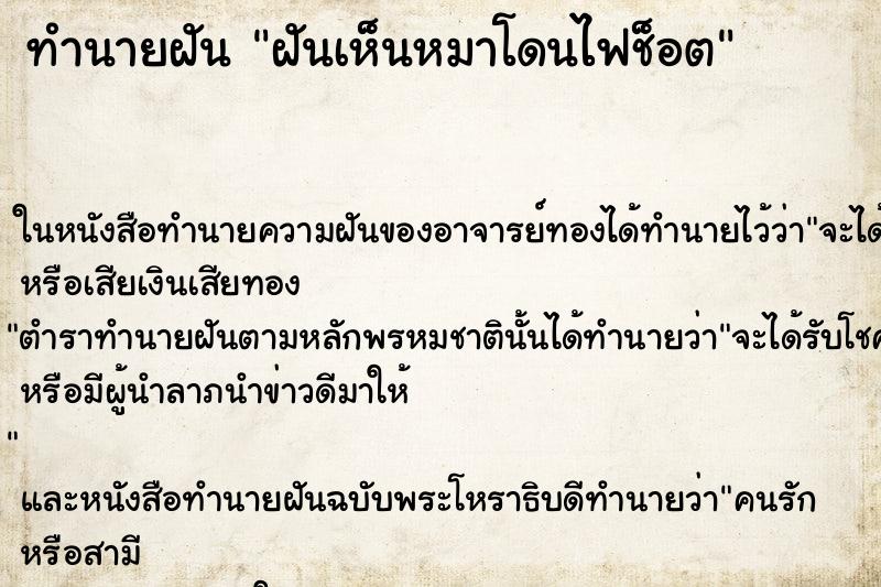 ทำนายฝันทำนายฝันฝันเห็นหมาโดนไฟช็อต