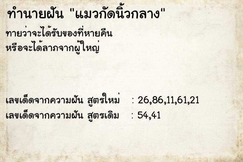 ทำนายฝัน แมวกัดนิ้วกลาง ทำนายฝัน แมวกัดนิ้วกลาง