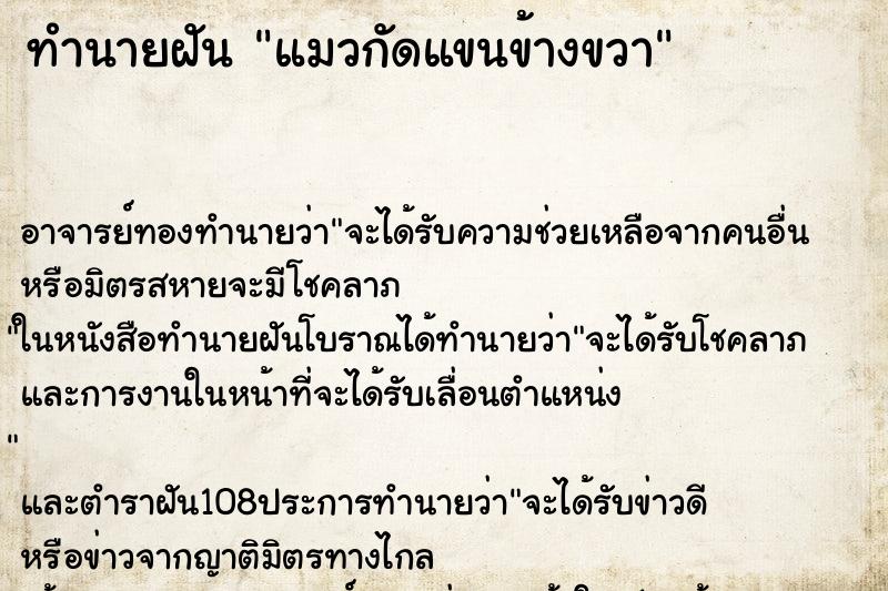 ทำนายฝัน แมวกัดแขนข้างขวา