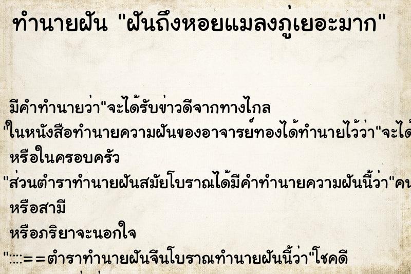 ทำนายฝันทำนายฝันฝันถึงหอยแมลงภู่เยอะมาก