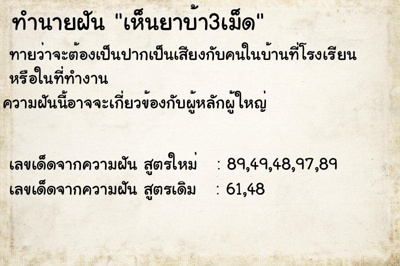 ทำนายฝันทำนายฝันเห็นยาบ้า3เม็ด