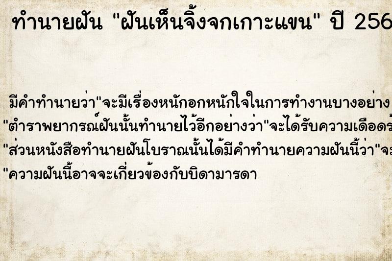 ทำนายฝันฝันเห็นจิ้งจกเกาะแขน ทำนายฝันทำนายฝันฝันเห็นจิ้งจกเกาะแขน