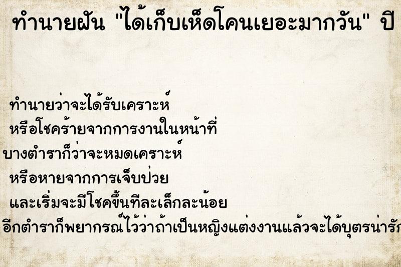 ทำนายฝัน ได้เก็บเห็ดโคนเยอะมากวัน ทำนายฝัน ได้เก็บเห็ดโคนเยอะมากวัน