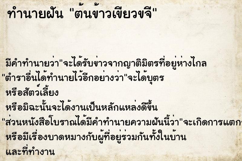 ทำนายฝันต้นข้าวเขียวขจี ทำนายฝันทำนายฝันต้นข้าวเขียวขจี