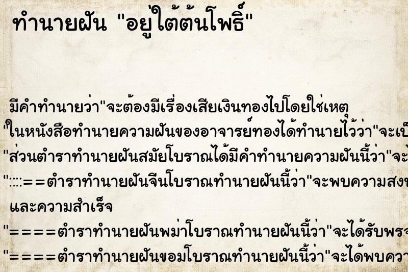ทำนายฝันทำนายฝันอยู่ใต้ต้นโพธิ์