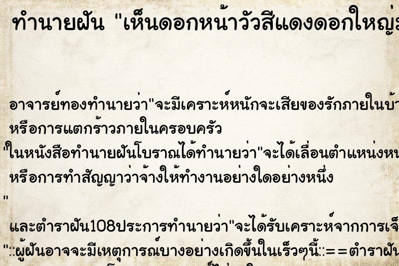 ทำนายฝันเห็นดอกหน้าวัวสีแดงดอกใหญ่มาก ทำนายฝันทำนายฝันเห็นดอกหน้าวัวสีแดงดอกใหญ่มาก