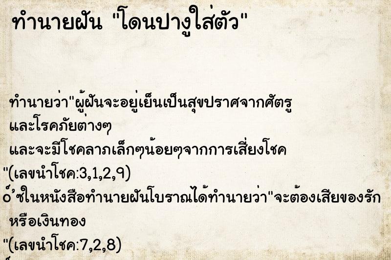 ทำนายฝันทำนายฝันโดนปางูใส่ตัว