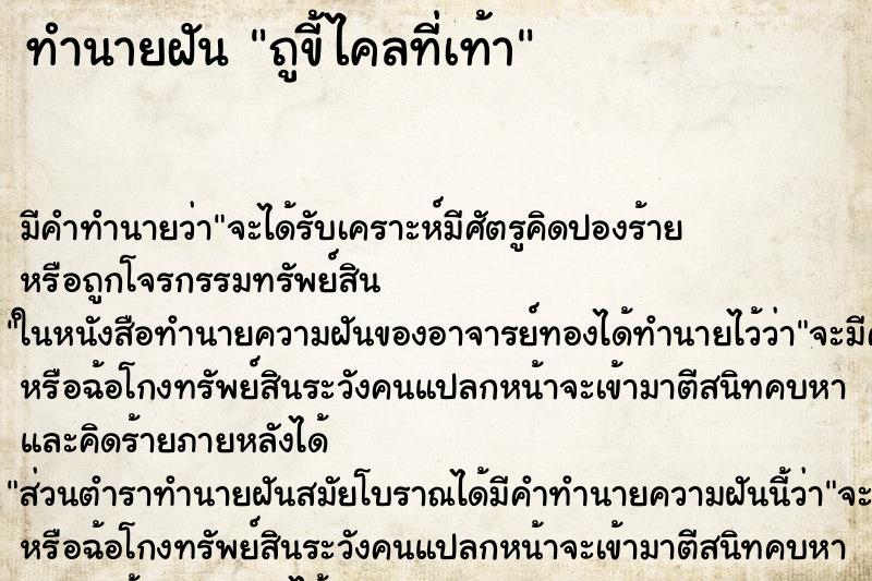 ทำนายฝัน ถูขี้ไคลที่เท้า ทำนายฝัน ถูขี้ไคลที่เท้า