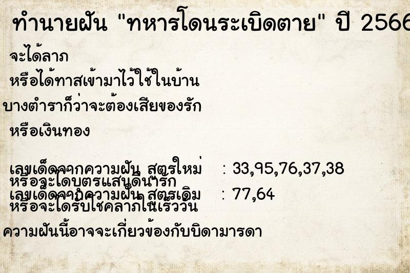ทำนายฝันทหารโดนระเบิดตาย ทำนายฝันทำนายฝันทหารโดนระเบิดตาย