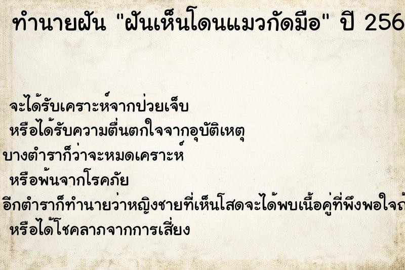 ทำนายฝันฝันเห็นโดนแมวกัดมือ ทำนายฝันทำนายฝันฝันเห็นโดนแมวกัดมือ