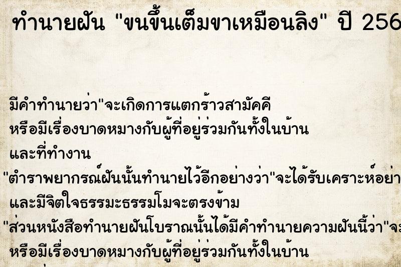 ทำนายฝันขนขึ้นเต็มขาเหมือนลิง ทำนายฝันทำนายฝันขนขึ้นเต็มขาเหมือนลิง