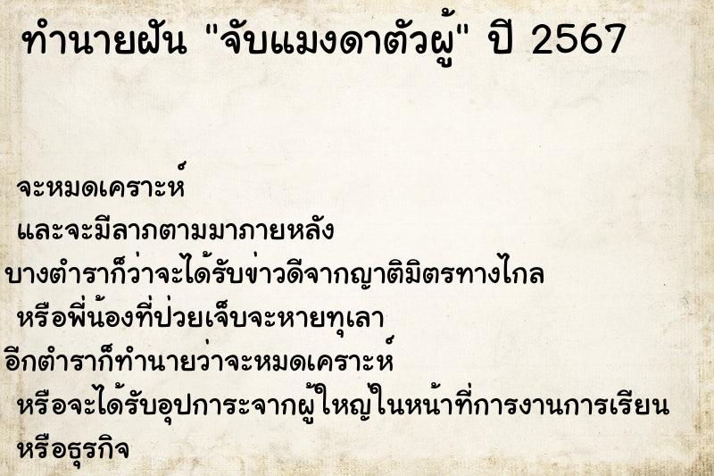 ทำนายฝันจับแมงดาตัวผู้ ทำนายฝันทำนายฝันจับแมงดาตัวผู้