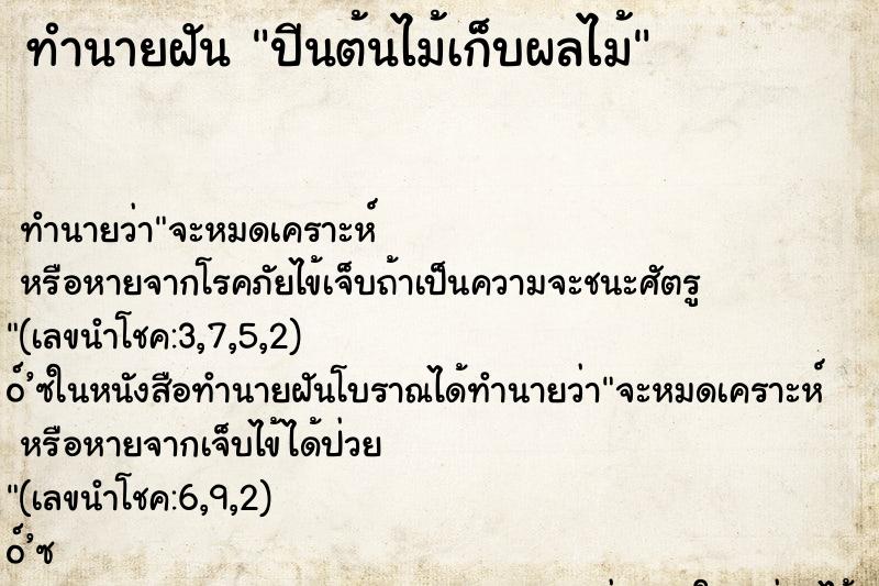 ทำนายฝัน ปีนต้นไม้เก็บผลไม้ ทำนายฝัน ปีนต้นไม้เก็บผลไม้