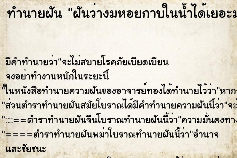 ทำนายฝันฝันว่างมหอยกาบในน้ำได้เยอะมาก ทำนายฝันทำนายฝันฝันว่างมหอยกาบในน้ำได้เยอะมาก