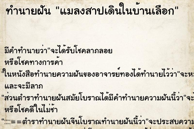 ทำนายฝันแมลงสาปเดินในบ้านเลือก ทำนายฝันทำนายฝันแมลงสาปเดินในบ้านเลือก