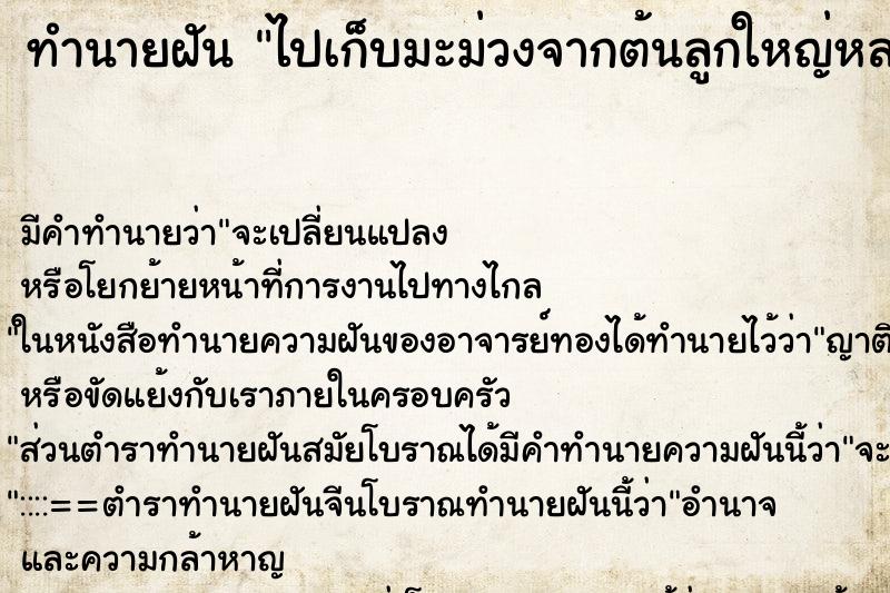 ทำนายฝัน ไปเก็บมะม่วงจากต้นลูกใหญ่หลายลูก ทำนายฝัน ไปเก็บมะม่วงจากต้นลูกใหญ่หลายลูก