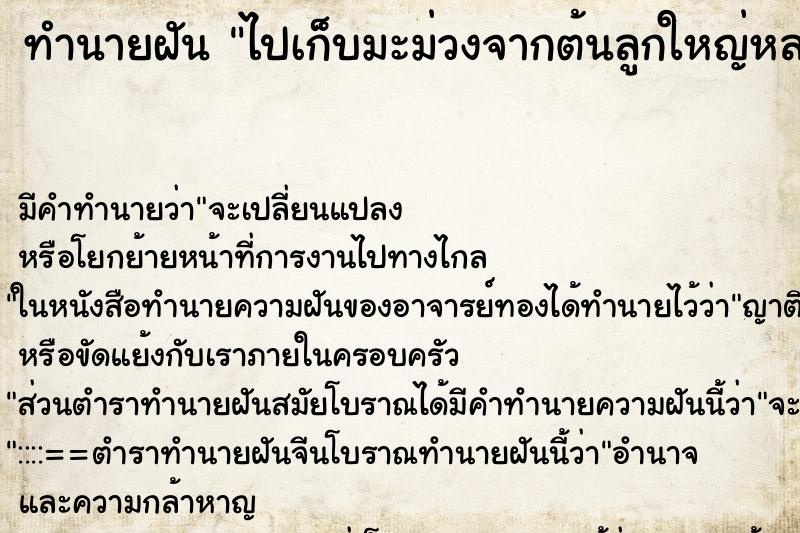 ทำนายฝัน ไปเก็บมะม่วงจากต้นลูกใหญ่หลายลูก ตำราโบราณ แม่นที่สุดในโลก