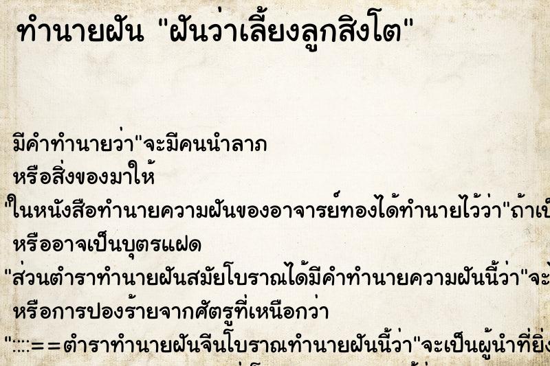 ทำนายฝัน ฝันว่าเลี้ยงลูกสิงโต ทำนายฝัน ฝันว่าเลี้ยงลูกสิงโต