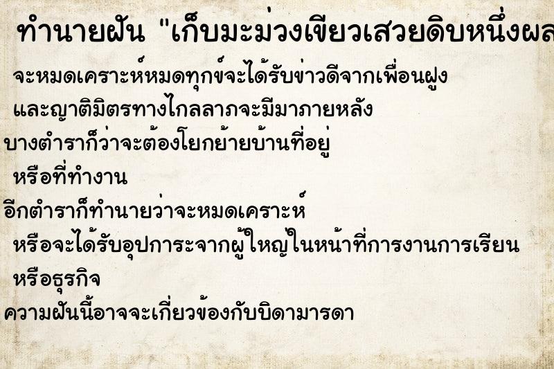ทำนายฝันเก็บมะม่วงเขียวเสวยดิบหนึ่งผล ทำนายฝันทำนายฝันเก็บมะม่วงเขียวเสวยดิบหนึ่งผล