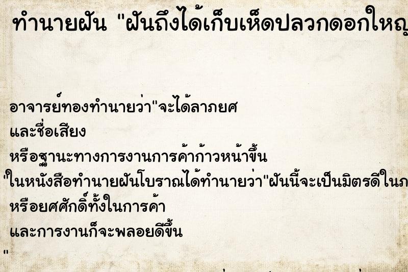 ทำนายฝันฝันถึงได้เก็บเห็ดปลวกดอกใหญ่เยอะ ทำนายฝันทำนายฝันฝันถึงได้เก็บเห็ดปลวกดอกใหญ่เยอะ
