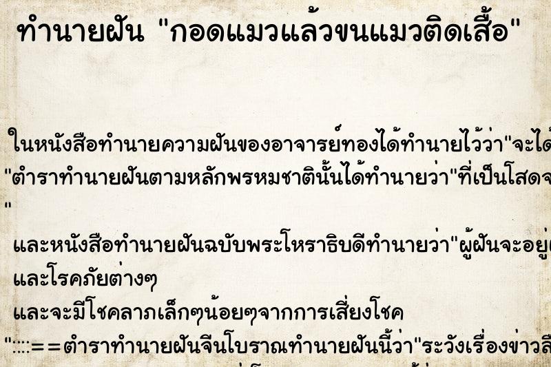 ทำนายฝันกอดแมวแล้วขนแมวติดเสื้อ ทำนายฝันทำนายฝันกอดแมวแล้วขนแมวติดเสื้อ