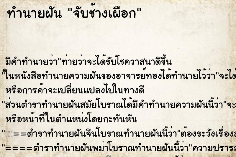 ทำนายฝันจับช้างเผือก ทำนายฝันทำนายฝันจับช้างเผือก