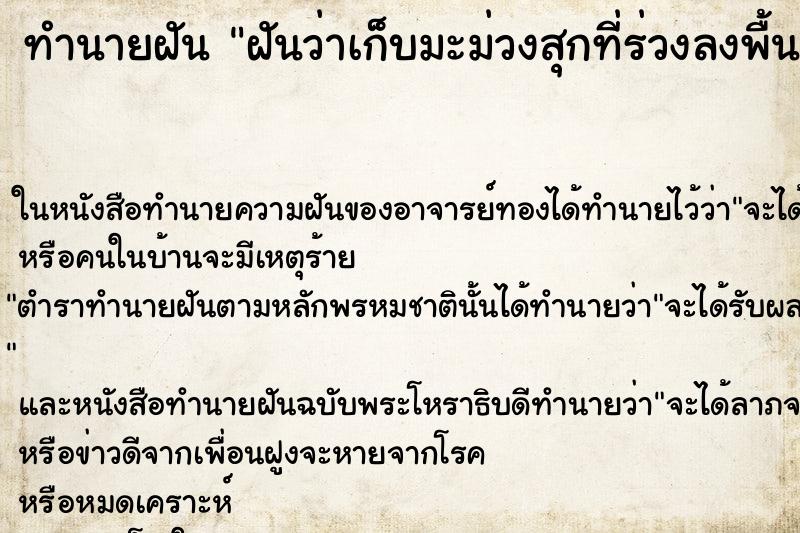 ทำนายฝันฝันว่าเก็บมะม่วงสุกที่ร่วงลงพื้น ทำนายฝันทำนายฝันฝันว่าเก็บมะม่วงสุกที่ร่วงลงพื้น