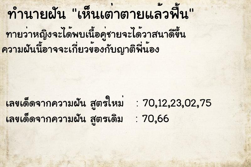 ทำนายฝัน เห็นเต่าตายแล้วฟื้น ทำนายฝัน เห็นเต่าตายแล้วฟื้น