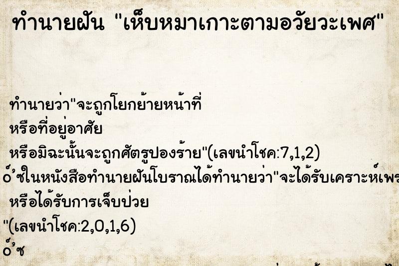 ทำนายฝัน เห็บหมาเกาะตามอวัยวะเพศ ทำนายฝัน เห็บหมาเกาะตามอวัยวะเพศ