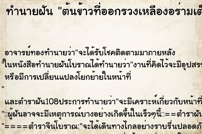 ทำนายฝัน ต้นข้าวที่ออกรวงเหลืองอร่ามเต็มทุ่งนา ทำนายฝัน ต้นข้าวที่ออกรวงเหลืองอร่ามเต็มทุ่งนา