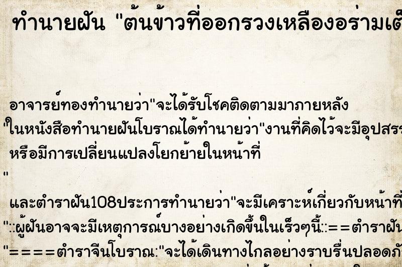 ทำนายฝัน ต้นข้าวที่ออกรวงเหลืองอร่ามเต็มทุ่งนา ตำราโบราณ แม่นที่สุดในโลก