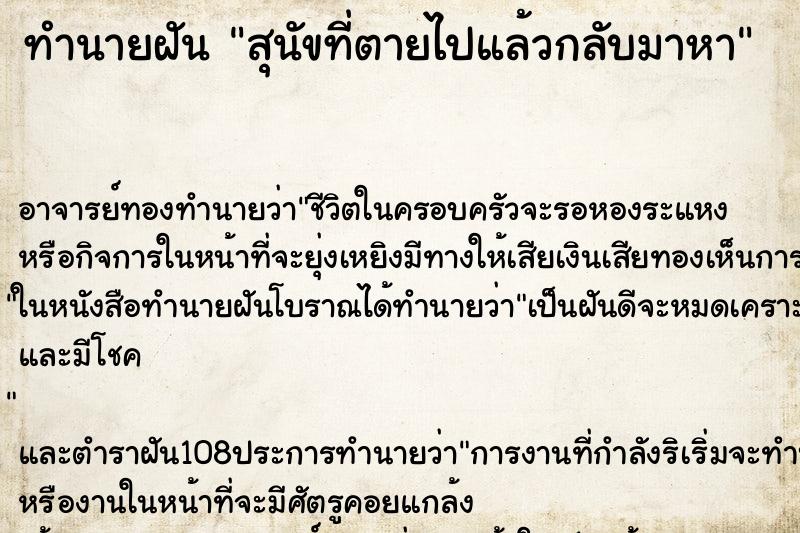 ทำนายฝันสุนัขที่ตายไปแล้วกลับมาหา ทำนายฝันทำนายฝันสุนัขที่ตายไปแล้วกลับมาหา