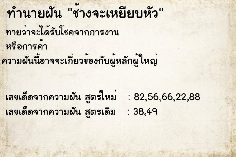 ทำนายฝันช้างจะเหยียบหัว ทำนายฝันทำนายฝันช้างจะเหยียบหัว