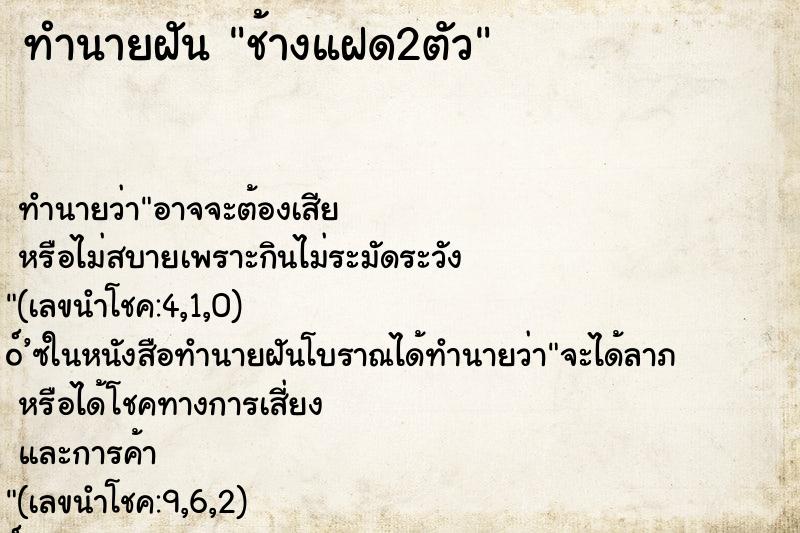 ทำนายฝัน ช้างแฝด2ตัว