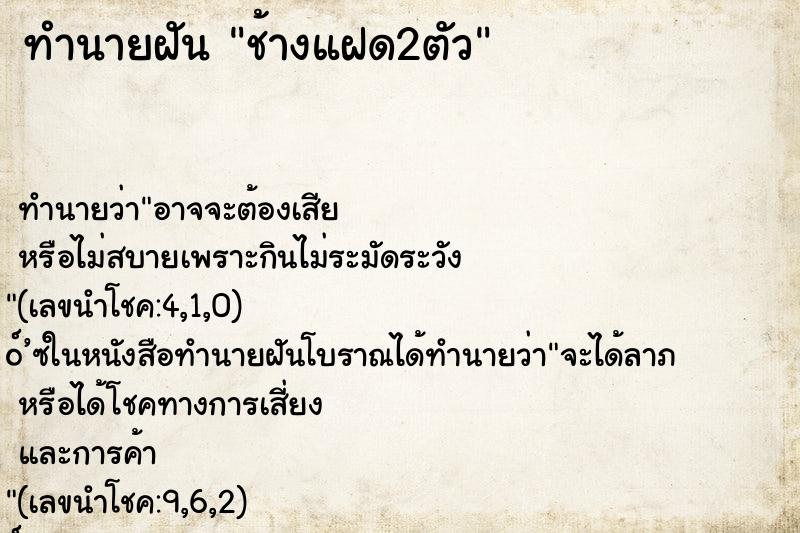 ทำนายฝัน ช้างแฝด2ตัว ตำราโบราณ แม่นที่สุดในโลก