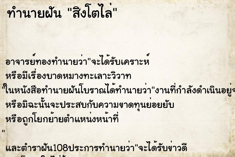 ทำนายฝันสิงโตไล่ ทำนายฝันทำนายฝันสิงโตไล่