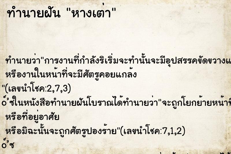 ทำนายฝันหางเต่า ทำนายฝันทำนายฝันหางเต่า