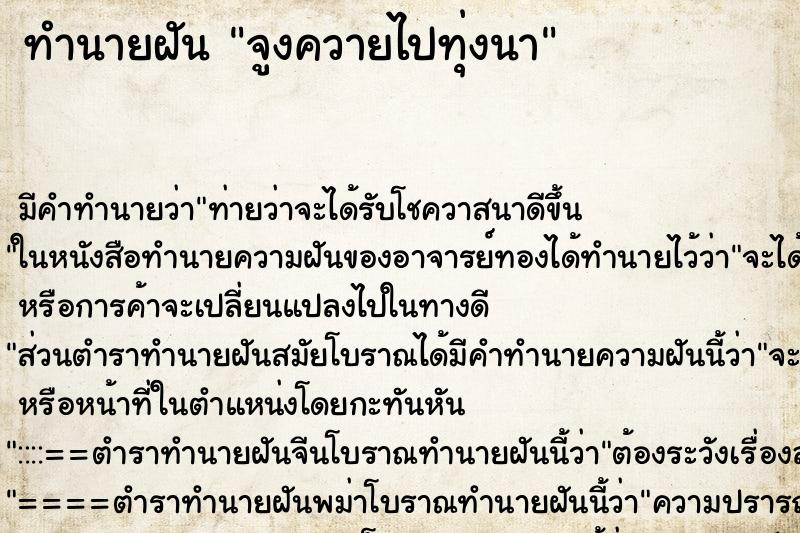 ทำนายฝันทำนายฝันจูงควายไปทุ่งนา