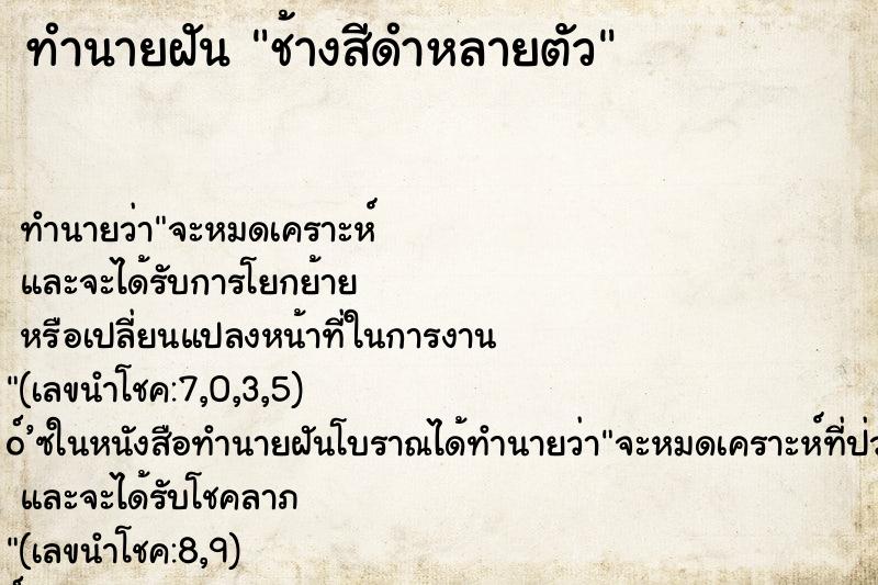 ทำนายฝันช้างสีดำหลายตัว ทำนายฝันทำนายฝันช้างสีดำหลายตัว