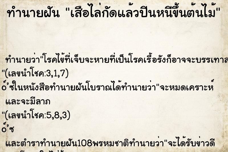 ทำนายฝันเสือไล่กัดแล้วปีนหนีขึ้นต้นไม้ ทำนายฝันทำนายฝันเสือไล่กัดแล้วปีนหนีขึ้นต้นไม้