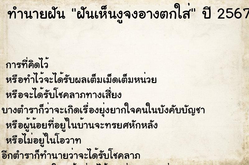 ทำนายฝันฝันเห็นงูจงอางตกใส่ ทำนายฝันทำนายฝันฝันเห็นงูจงอางตกใส่
