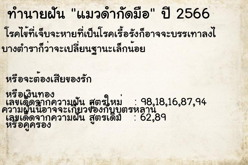 ทำนายฝัน แมวดํากัดมือ ตำราโบราณ แม่นที่สุดในโลก