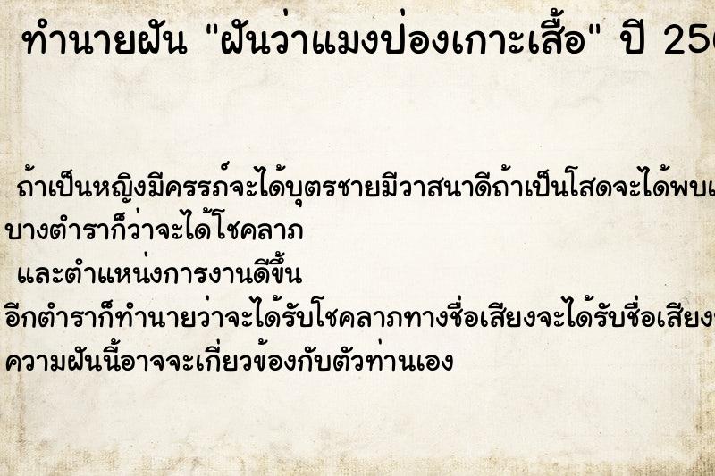 ทำนายฝันฝันว่าแมงป่องเกาะเสื้อ ทำนายฝันทำนายฝันฝันว่าแมงป่องเกาะเสื้อ