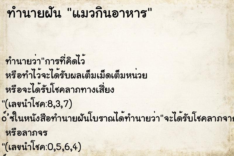 ทำนายฝัน แมวกินอาหาร ทำนายฝัน แมวกินอาหาร