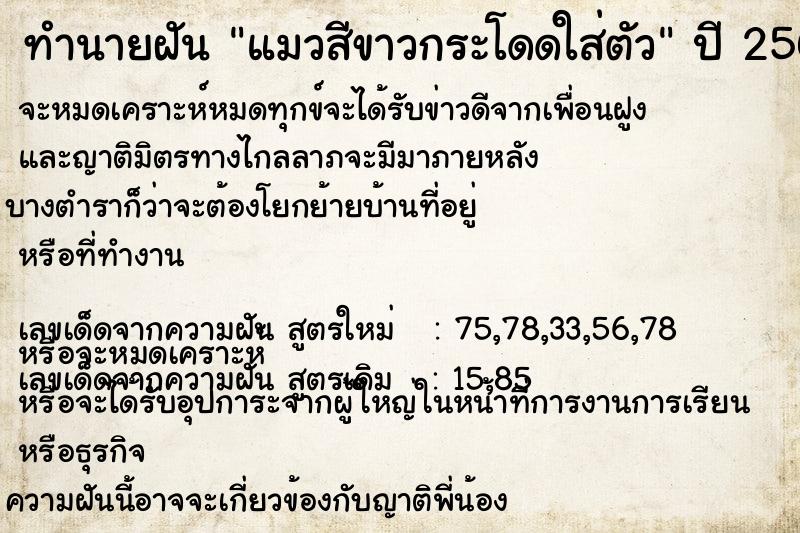 ทำนายฝันแมวสีขาวกระโดดใส่ตัว ทำนายฝันทำนายฝันแมวสีขาวกระโดดใส่ตัว