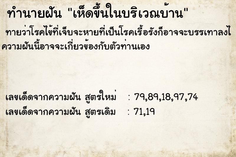 ทำนายฝันเห็ดขึ้นในบริเวณบ้าน ทำนายฝันทำนายฝันเห็ดขึ้นในบริเวณบ้าน