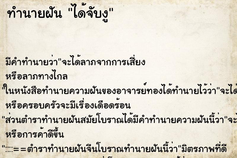 ทำนายฝัน ได้จับงู ทำนายฝัน ได้จับงู